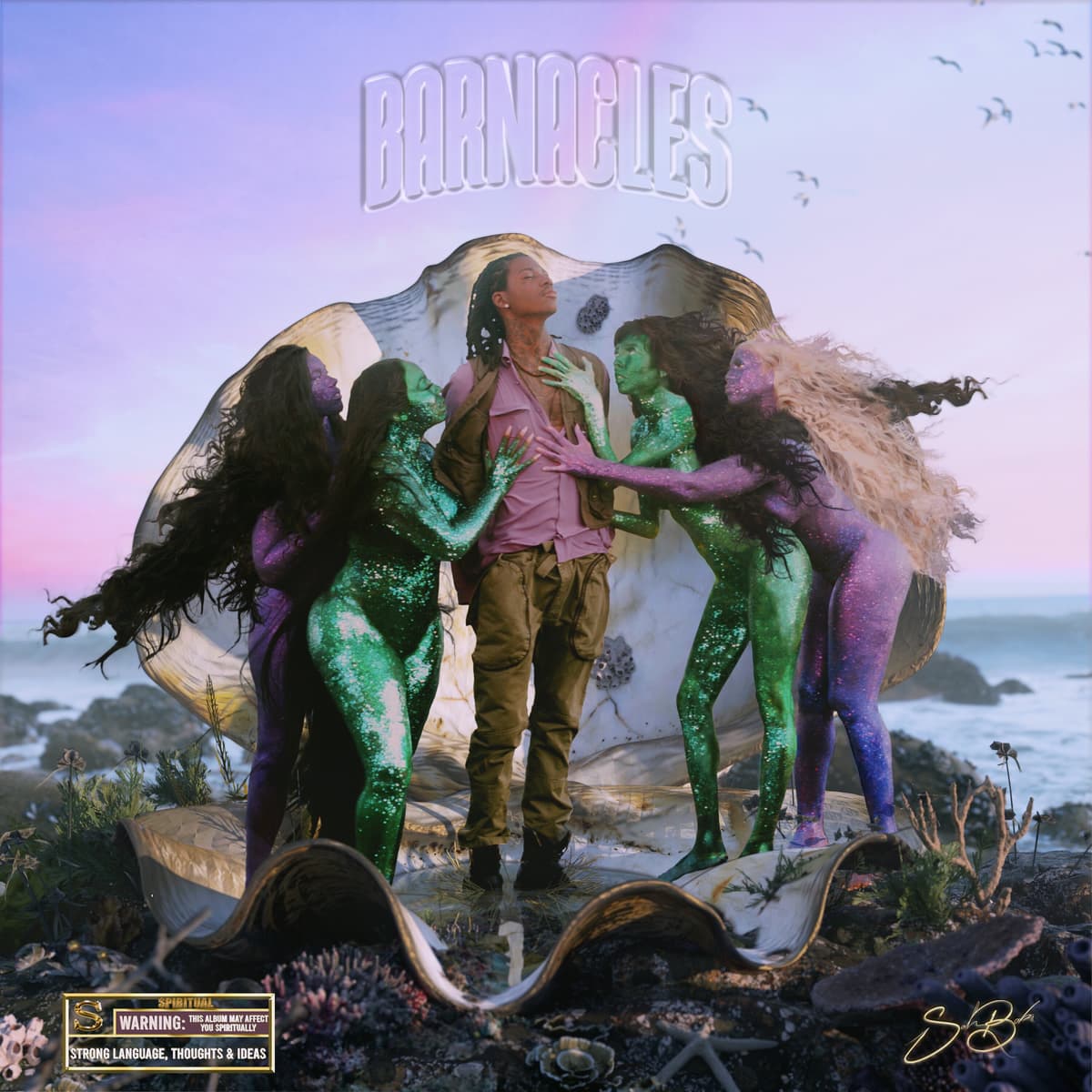 Barnacles, SahBabii
