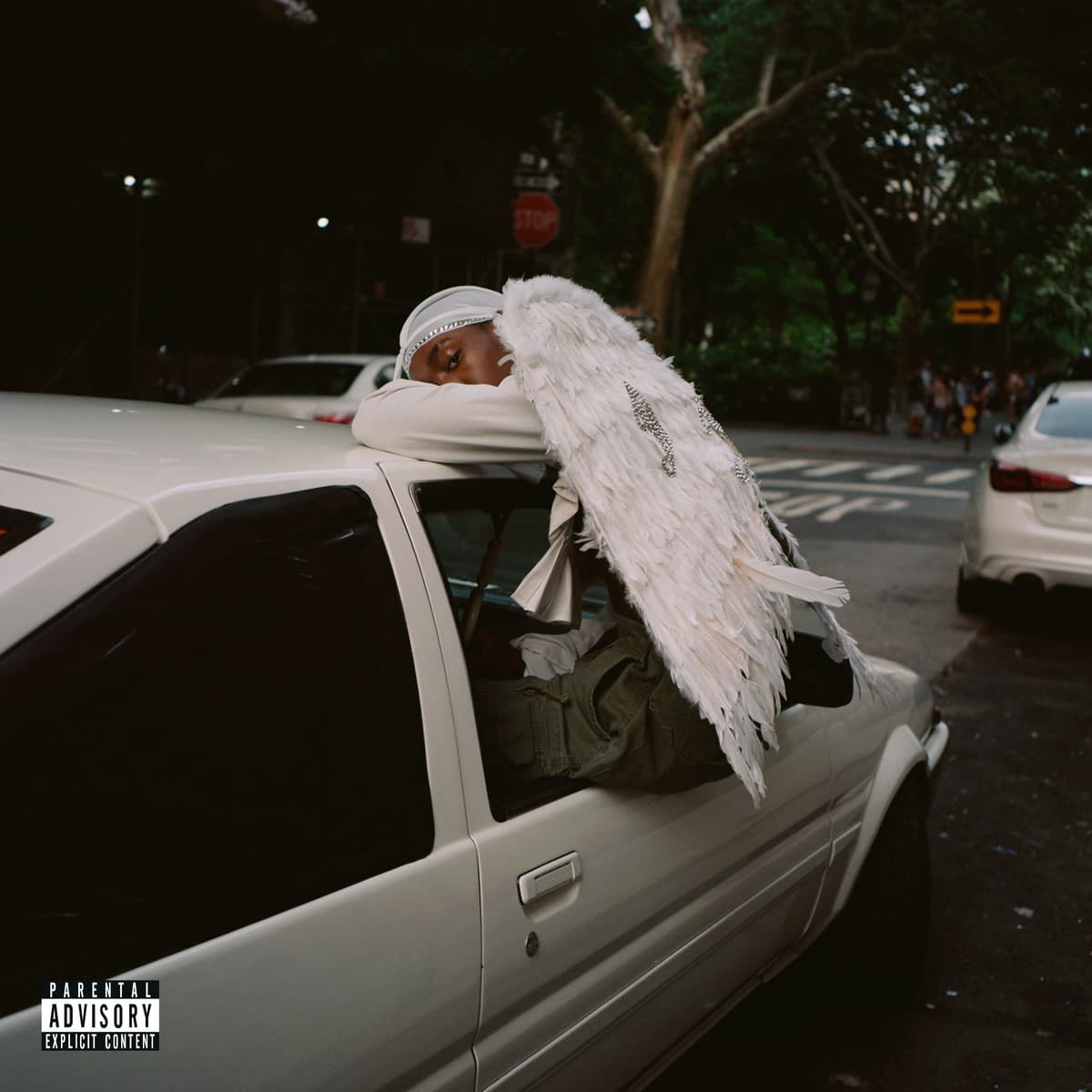 Negro Swan, Blood Orange
